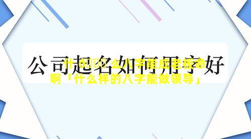 什 🍁 么八字能成老板命啊「什么样的八字能做领导」